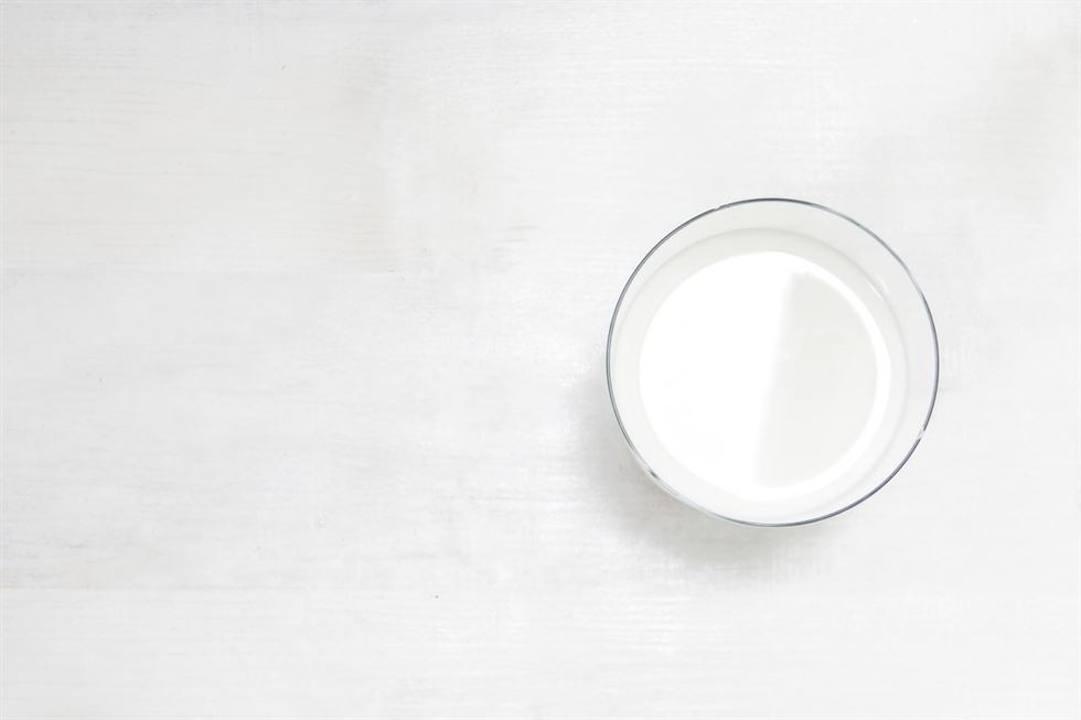 Gordura do leite e saúde: o que as evidências científicas recentes nos dizem?