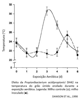 Efeito da bactéria propiônica na temperatura do grão úmido ensilado durante a exposição aeróbica