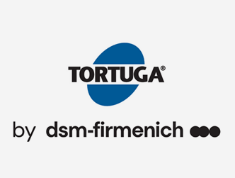 DSM