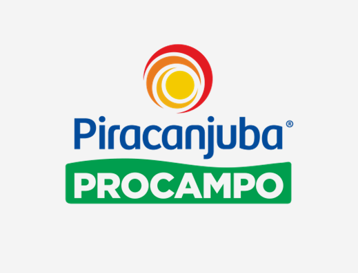Piracanjuba