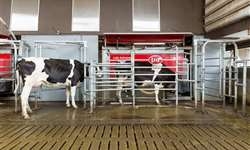 Lely capacita técnicos do Brasil, Chile e Argentina em automação na pecuária de leite