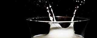 Conseleite/MG: valor de referência do leite a ser pago em junho apresenta estabilidade