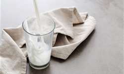 Conseleite/PR: projeta estabilidade no valor de referência do leite entregue em maio