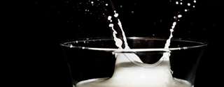 Melhoria de proteínas lácteas por hidrólise enzimática e ultrassom