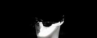 Aumento dos preços do leite começam a sufocar a demanda na América do Sul