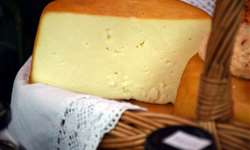 Brasília: concurso nacional de queijo artesanal promove degustação