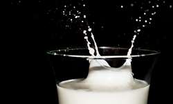 Captação de leite registra queda recorde no primeiro trimestre de 2022