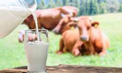 Entressafra e alta nos custos de produção no preço do leite
