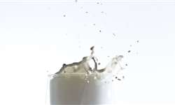 Boletim FAESP: leite registra alta de 13,41% nos preços pagos aos produtores