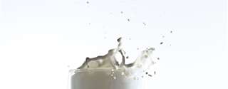Boletim FAESP: leite registra alta de 13,41% nos preços pagos aos produtores