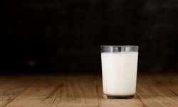 O leite no Brasil e no mundo: onde estamos e para onde podemos ir?
