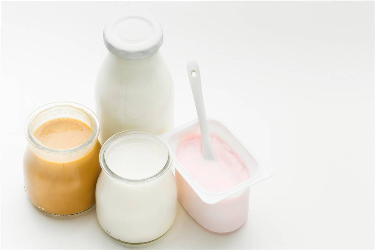 Como surgiu e quais as variedades de leites fermentados? | MilkPoint