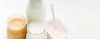 Como surgiu e quais as variedades de leites fermentados?