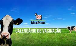Calendário de vacinação para gado leiteiro