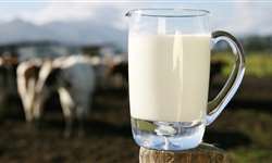 Preço do leite está em alta no mundo, mas não incentiva produtor
