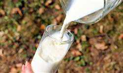 Traçando as perspectivas para o leite no Brasil