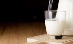 Tipos de leite: quais são as diferenças?