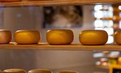 EUA têm crescimento recorde no estoque de queijos