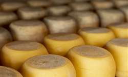 Acari Menestrina: quem é esse empreendedor queijeiro?