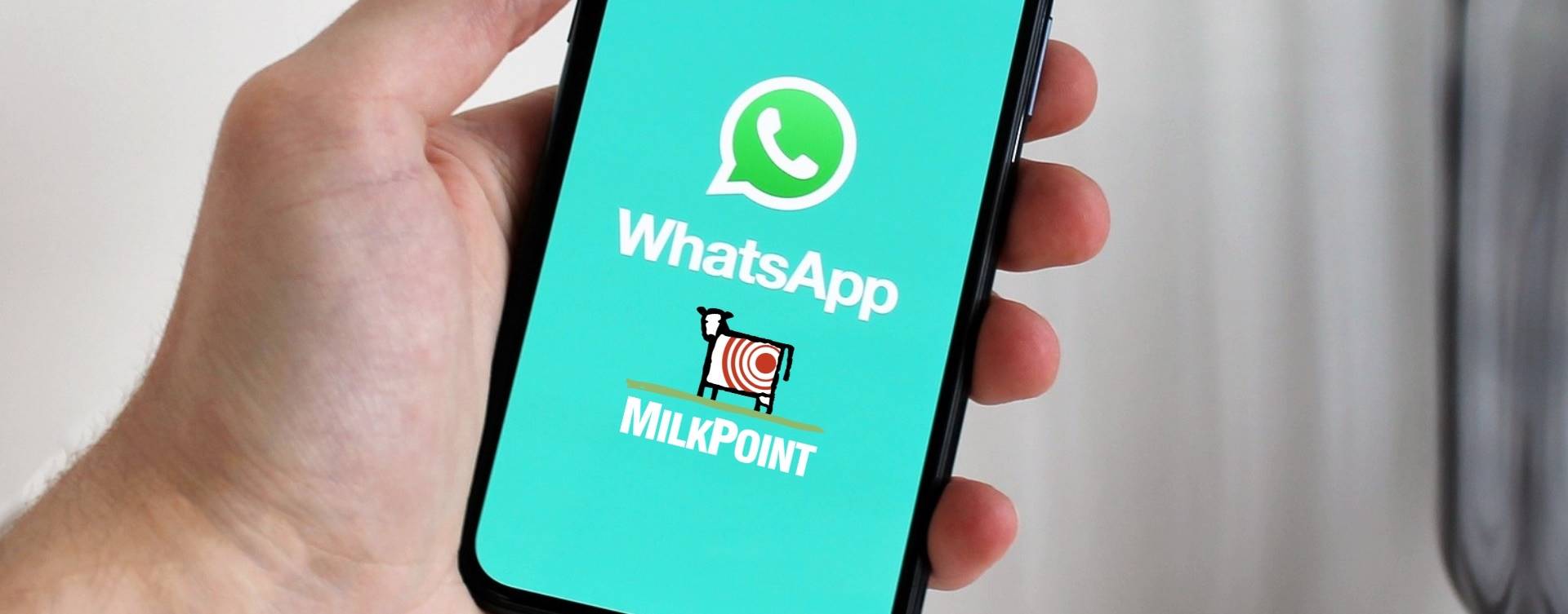 Participe do grupo de Whatsapp do MilkPoint!
