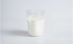Sólidos de leite dão lucro a pecuaristas