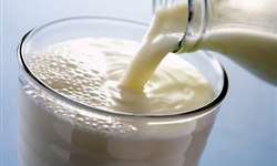 Rabobank divulga Top 20 maiores companhias de lácteos do mundo