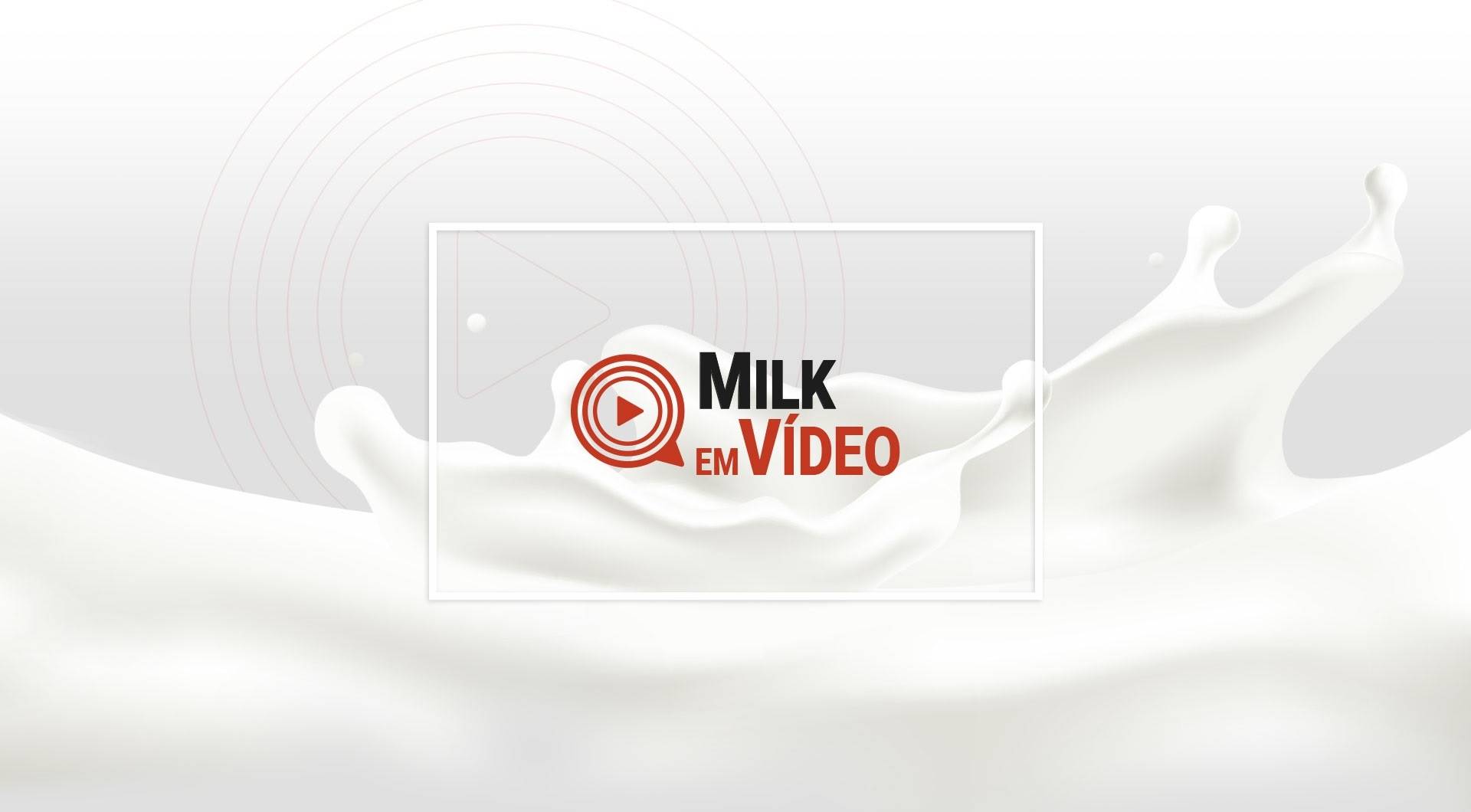 Milk em Vídeo: principais conteúdos da semana (28/10)