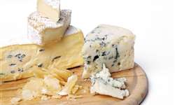 Fungos em queijos: problema ou diversidade?