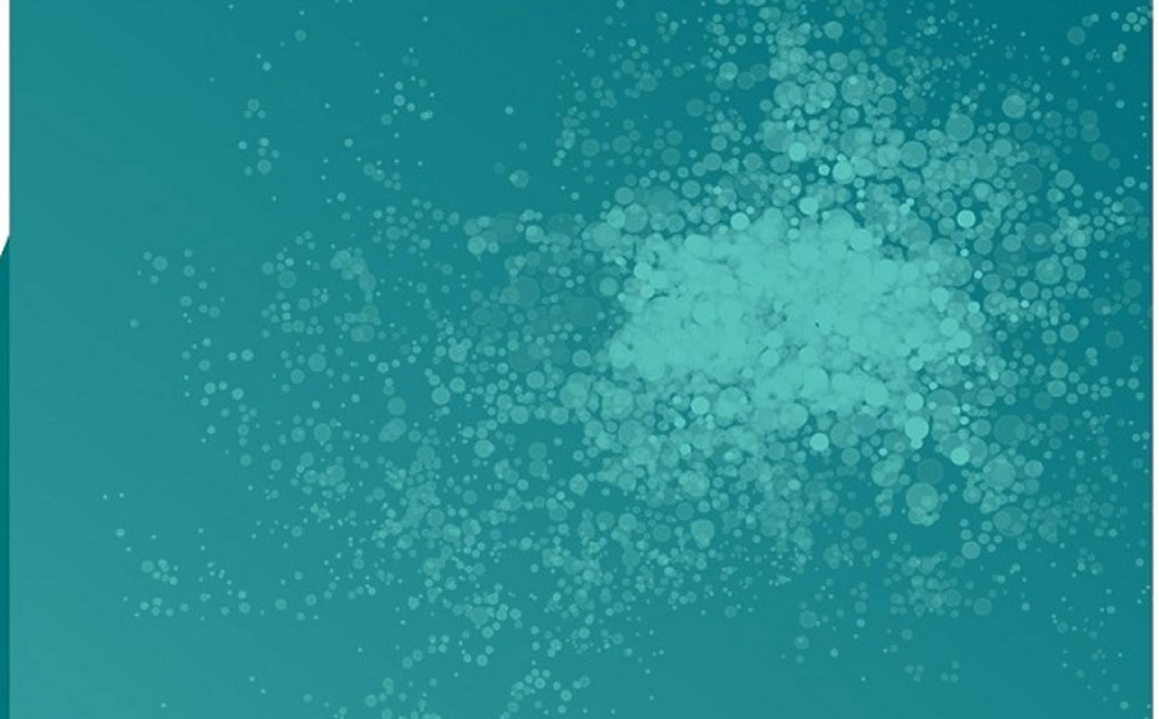 Solução sinérgica e de amplo espectro para o combate das Micotoxinas
