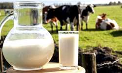 RS: Emater Ascar multiplica orientações sobre atividade leiteira e pecuária