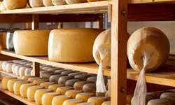 Relação caseína/gordura dos diferentes queijos do Brasil
