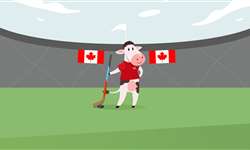 Canadá: da Copa foi eliminado, mas segue no jogo do setor lácteo