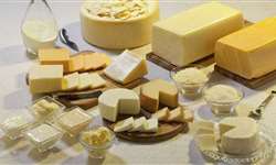 Inteligência artificial incrementa produtividade da indústria de queijos