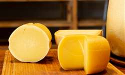 3 causas do gosto amargo em queijos