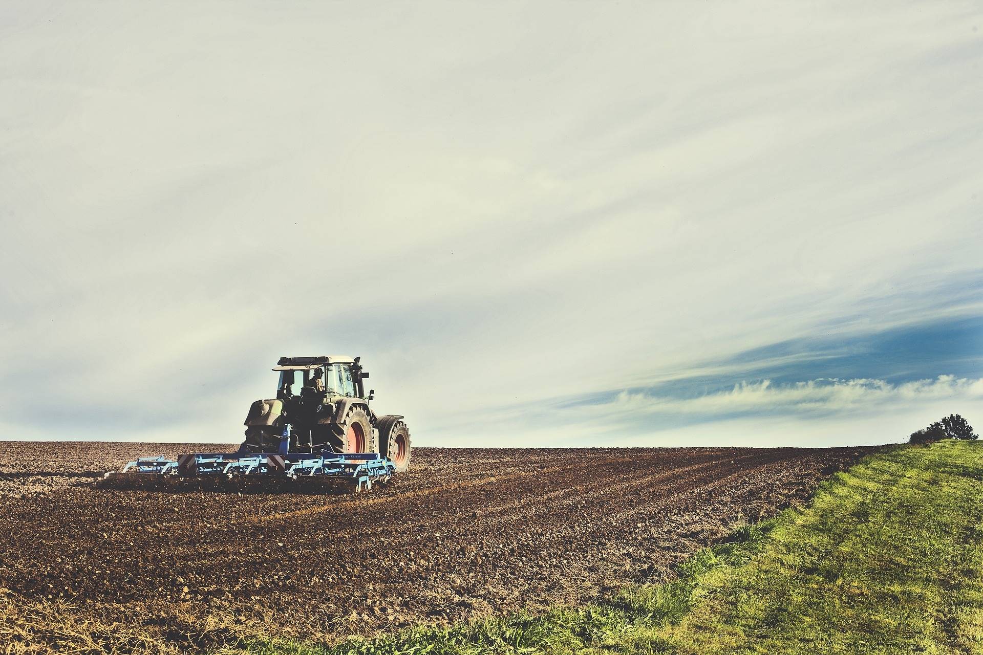 Agronegócio e o novo governo: cenário e perspectivas