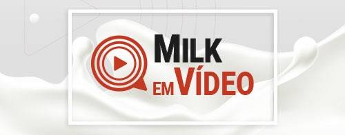 Milk em vídeo: o leite na região Sul
