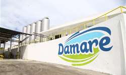 Laticínios Damare vai captar e beneficiar leite de produtores sergipanos