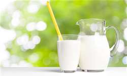 Quais as características sensoriais do leite de consumo?
