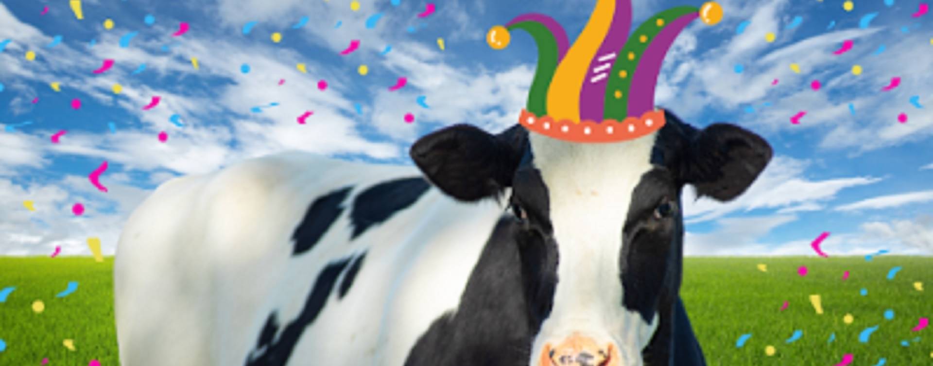 Carnaval chegou, precisa de hidratação para curar a ressaca? Beba leite!