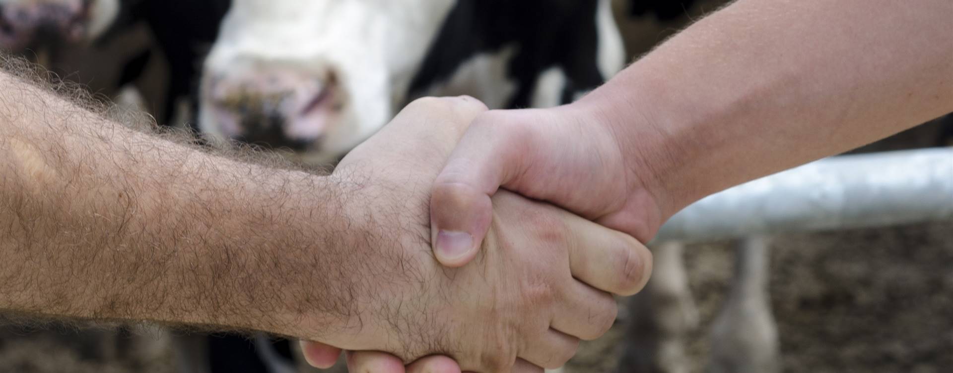 Relação indústria-produtor: a colaboração como estratégia competitiva
