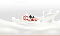 Milk em vídeo: novidades e tendências para o leite em 2023