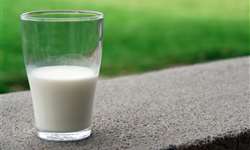 UE: produção de leite permaneceu estável em 2022