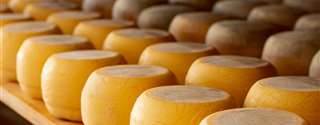 Desafios da legalização de queijos artesanais no Brasil