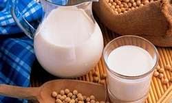 EUA: Consumo de "leites" de origem vegetal aumenta enquanto o de leite de vaca diminui