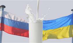 Ucrânia: setor de lácteos ainda está devastado pela invasão russa