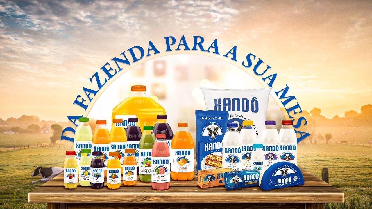 Xandô celebra 40 anos e fecha 2022 com crescimento de 29%