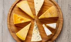 O papel dos microrganismos na trajetória dos queijos