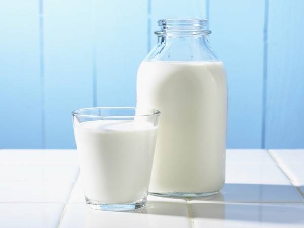 Oportunidades de mercado para proteínas lácteas são vastas