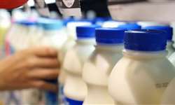 Mercado futuro de leite no Brasil?