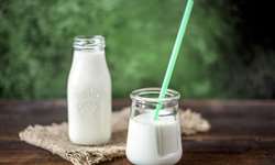 Novas tendências em leite fermentado probiótico com colágeno